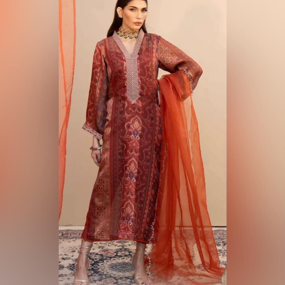 Pakistani Indian Designer Shalwar Kameez - 2 Piec… - image 1